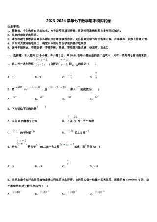 2024届深圳锦华实验学校七下数学期末达标检测模拟试题含解析.doc