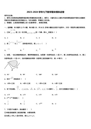 2024届湖北省丰溪镇中学七年级数学第二学期期末监测试题含解析.doc