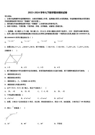 2024届湖北省恩施州名校七年级数学第二学期期末综合测试试题含解析.doc