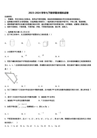 2024届湖北省武汉市武昌区武汉大附属外语学校数学七下期末达标检测试题含解析.doc