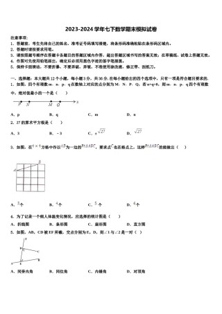2024届湖北省黄石市富川中学数学七下期末监测试题含解析.doc
