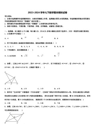 2024届湖北省黄石市白沙片区七年级数学第二学期期末教学质量检测模拟试题含解析.doc