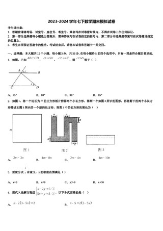 2024届湖南省师大附中博才实验中学七下数学期末学业质量监测试题含解析.doc