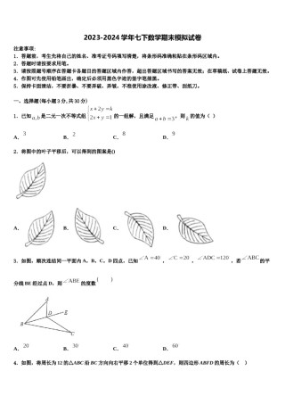 2024届湖南省师范大附属中学数学七下期末检测试题含解析.doc