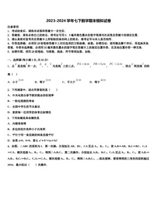 2024届湖南省张家界五道水镇中学七下数学期末复习检测试题含解析.doc