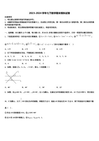 2024届湖南省武冈市第三中学七下数学期末质量检测模拟试题含解析.doc