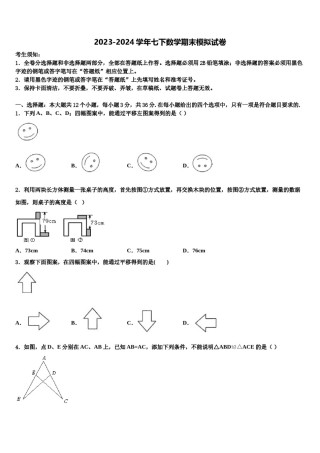 2024届湖南省耒阳市冠湘中学七年级数学第二学期期末调研模拟试题含解析.doc