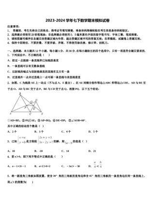 2024届湖南省邵阳市第十一中学七年级数学第二学期期末检测试题含解析.doc