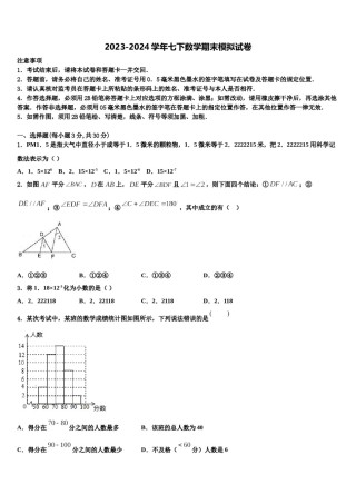 2024届湖南省重点中学七下数学期末联考试题含解析.doc