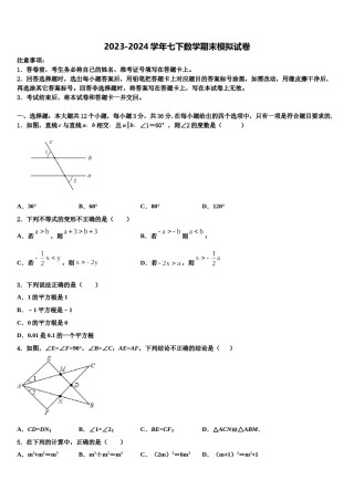 2024届湖南省长沙市青竹湖湘一外国语学校七下数学期末监测试题含解析.doc