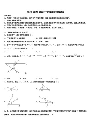 2024届湖南省长沙广益中学七年级数学第二学期期末学业水平测试模拟试题含解析.doc