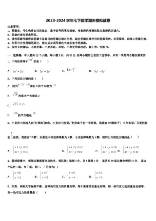 2024届漯河市重点中学七下数学期末综合测试模拟试题含解析.doc