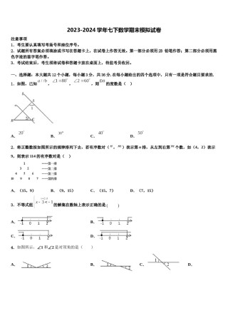 2024届甘肃省武威市凉州区永昌镇和寨九制学校七年级数学第二学期期末联考模拟试题含解析.doc