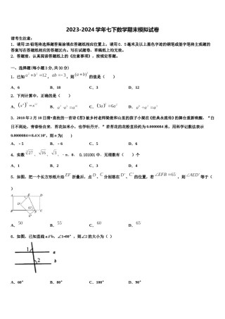 2024届盘锦市重点中学数学七下期末检测模拟试题含解析.doc