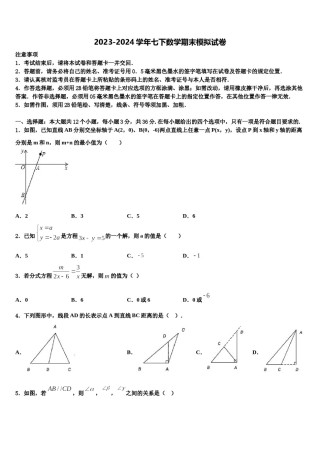 2024届福建省厦门外国语学校海沧附属学校七下数学期末经典试题含解析.doc