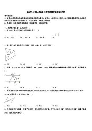 2024届福建省厦门市双十中学七下数学期末联考模拟试题含解析.doc