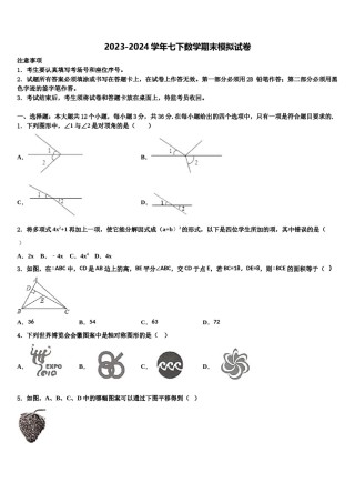 2024届福建省平潭县七下数学期末质量检测模拟试题含解析.doc