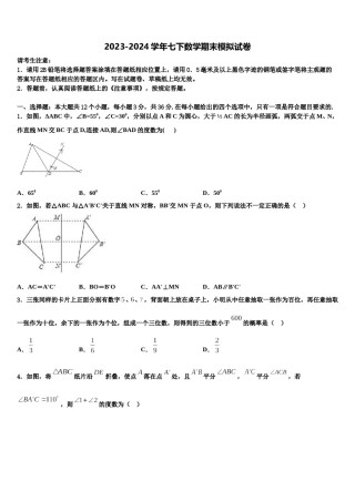 2024届福建省漳州市平和县七年级数学第二学期期末教学质量检测试题含解析.doc