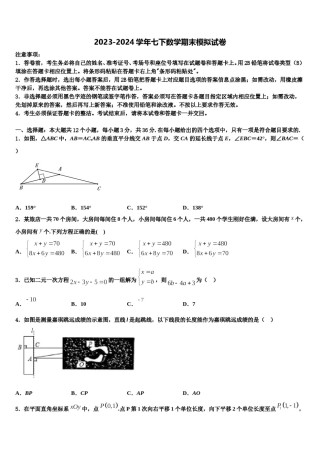 2024届福建省莆田荔城区五校联考七下数学期末检测模拟试题含解析.doc