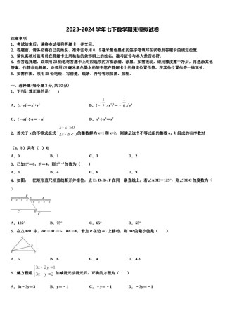 2024届荆州市重点中学七年级数学第二学期期末检测模拟试题含解析.doc