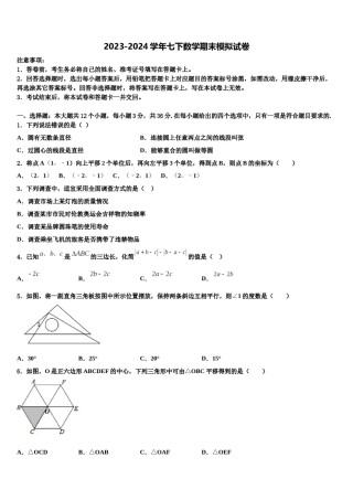 2024届贵州省贵州铜仁伟才学校七年级数学第二学期期末质量检测试题含解析.doc