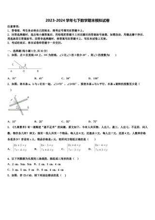 2024届陕西省合阳县七年级数学第二学期期末教学质量检测模拟试题含解析.doc