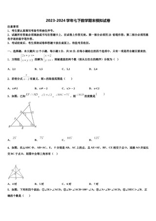 2024届陕西省西安交通大附属中学七下数学期末调研模拟试题含解析.doc