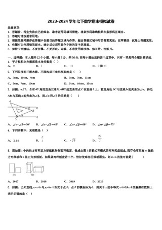 上海外国语大附属外国语学校2023-2024学年七年级数学第二学期期末复习检测试题含解析.doc