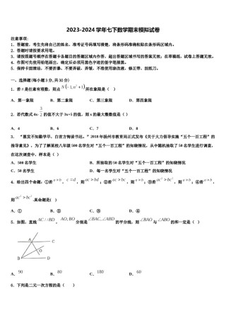 上海市上海民办张江集团学校2024届七年级数学第二学期期末综合测试试题含解析.doc
