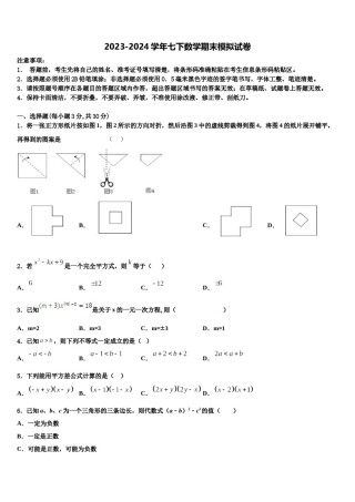 上海市宝山区刘行新华实验学校2024年七年级数学第二学期期末学业质量监测试题含解析.doc