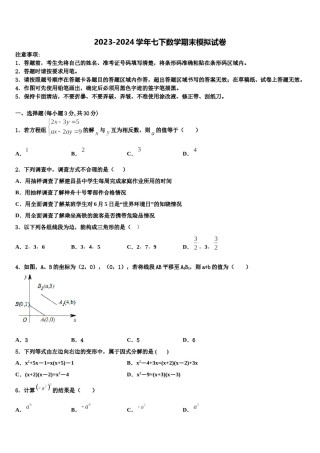 上海市杨浦区上海同济大附属存志学校2024届七年级数学第二学期期末学业质量监测模拟试题含解析.doc