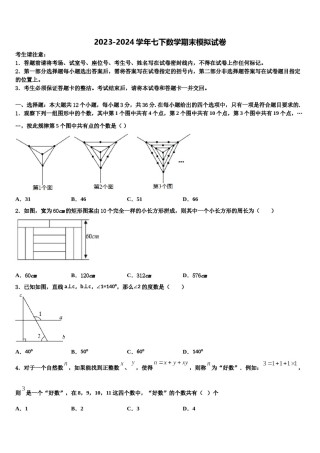 上海市民办和衷中学2023-2024学年七年级数学第二学期期末教学质量检测试题含解析.doc