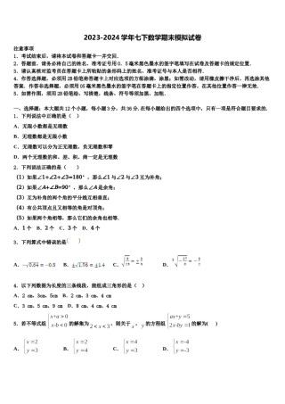 上海市民办张江集团中学2023-2024学年数学七下期末考试试题含解析.doc