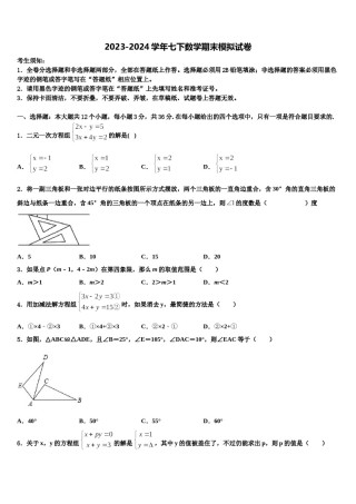 上海市民办新竹园中学2024年七年级数学第二学期期末综合测试试题含解析.doc