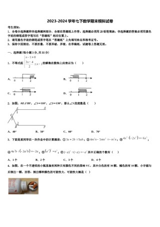 上海市西延安中学2024届七下数学期末学业水平测试模拟试题含解析.doc