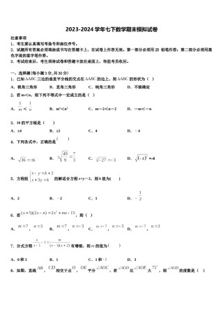 上海市闵行区2024届七年级数学第二学期期末考试模拟试题含解析.doc