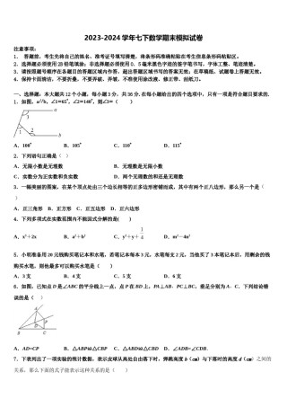 上海市闵行区上虹中学2023-2024学年七年级数学第二学期期末预测试题含解析.doc