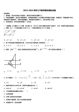 东省济宁市金乡县2023-2024学年七下数学期末经典试题含解析.doc