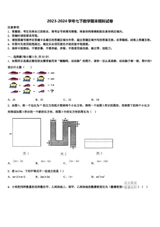 云南省昭通市昭阳区2024届七下数学期末监测模拟试题含解析.doc