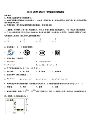 云南省昭通市昭阳区建飞中学2024届数学七下期末检测模拟试题含解析.doc