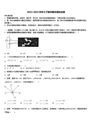 云南省罗平县2023-2024学年七年级数学第二学期期末监测试题含解析.doc