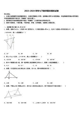 佛山市重点中学2024年七年级数学第二学期期末联考模拟试题含解析.doc