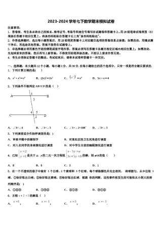 内江市重点中学2024年七年级数学第二学期期末复习检测模拟试题含解析.doc