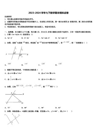 内蒙古乌兰浩特市卫东中学2024届七年级数学第二学期期末学业水平测试模拟试题含解析.doc