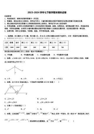 内蒙古包头市2023-2024学年七下数学期末联考试题含解析.doc
