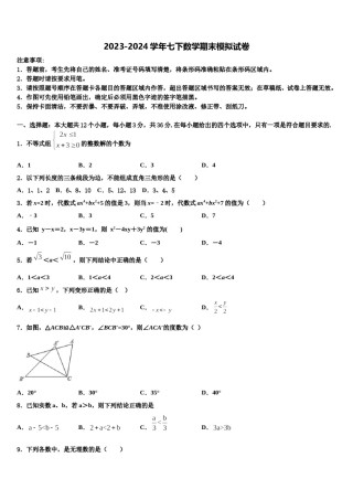 内蒙古翁牛特旗2024年七下数学期末检测模拟试题含解析.doc