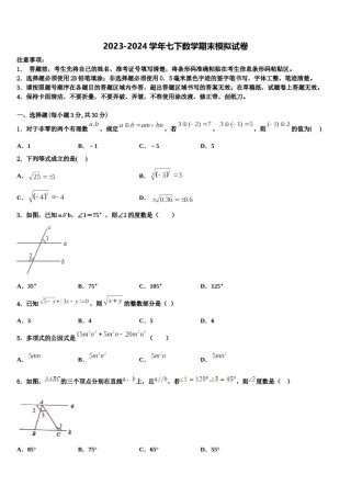 内蒙古锡林郭勒盟正镶白旗察汗淖中学2023-2024学年数学七下期末质量跟踪监视试题含解析.doc