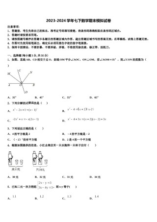 北京七中学2023-2024学年数学七下期末质量检测模拟试题含解析.doc
