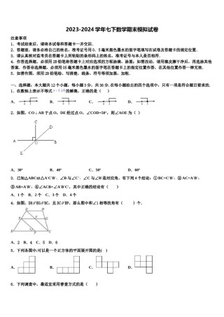 北京市北京大附属中学2024届七下数学期末综合测试模拟试题含解析.doc