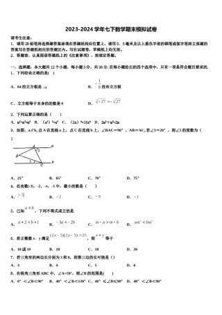 北京市北京理工大附中2023-2024学年数学七下期末复习检测模拟试题含解析.doc